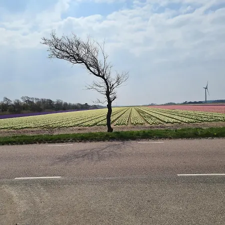 Weitblick