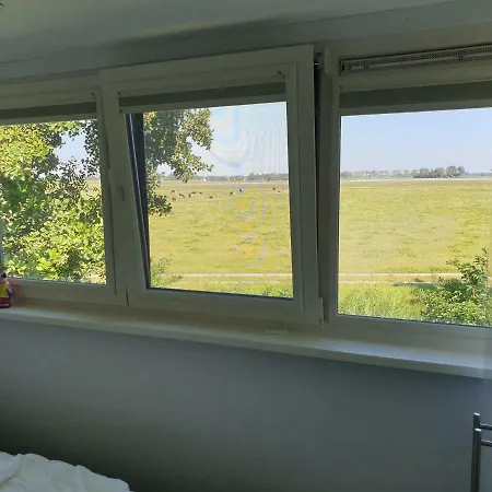 Weitblick *