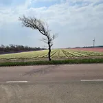 Weitblick